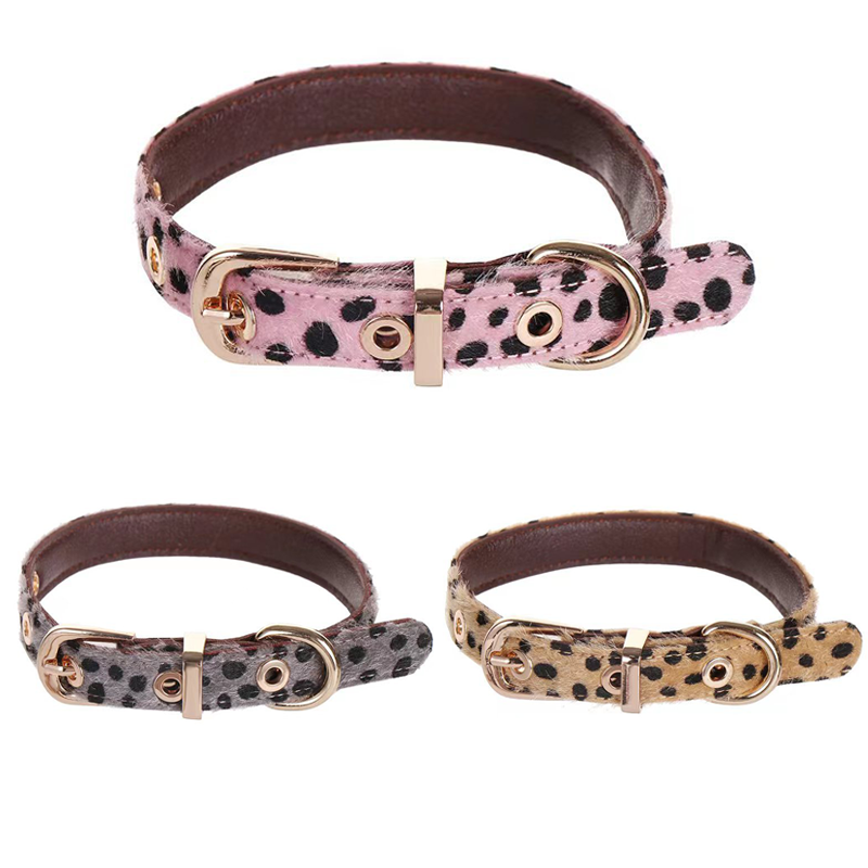 Leopard Pattern Small Dog Coll - đánh giá và giá Leather Strap Quick Release